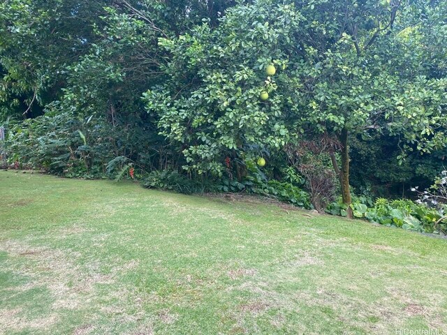 2840C Kalihi St, Honolulu, HI 96819 - photo 16