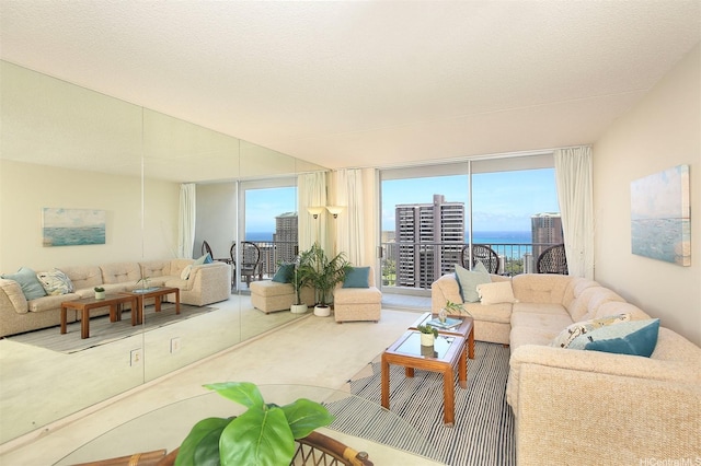 carpeted living room with plenty of natural light