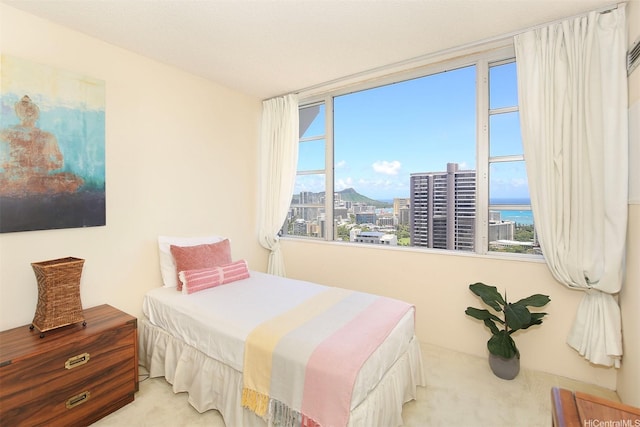bedroom with a city view and carpet floors