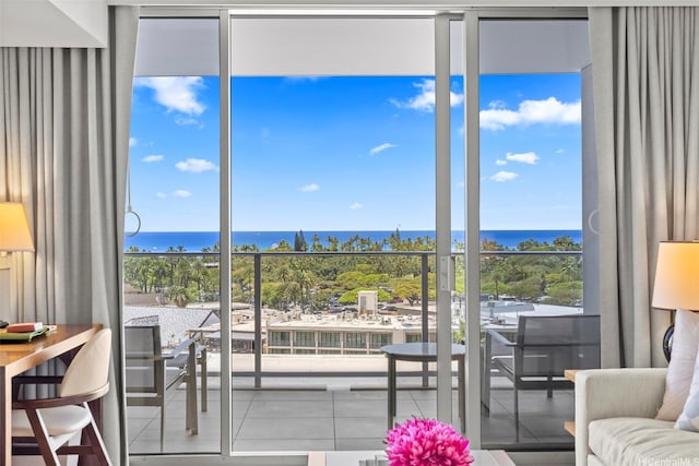 living area featuring a water view, a wall of windows, and a healthy amount of sunlight