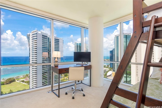 office space featuring a water view and carpet