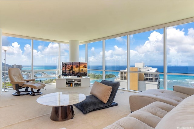carpeted living room with a wall of windows