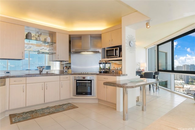 kitchen with appliances with stainless steel finishes, wall chimney exhaust hood, a sink, and plenty of natural light