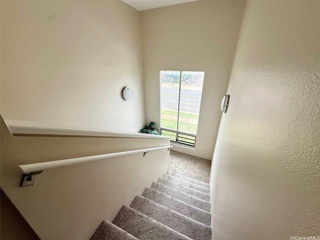 staircase with carpet floors