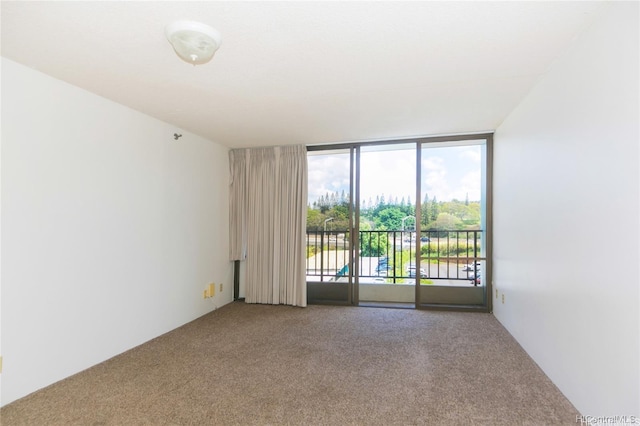 empty room featuring carpet floors and expansive windows