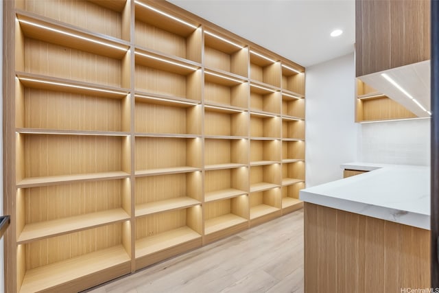 walk in closet featuring light wood finished floors