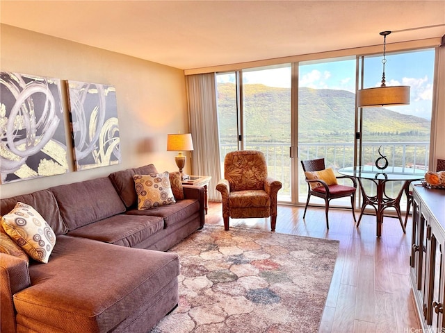 living area featuring a mountain view, a healthy amount of sunlight, and hardwood / wood-style flooring