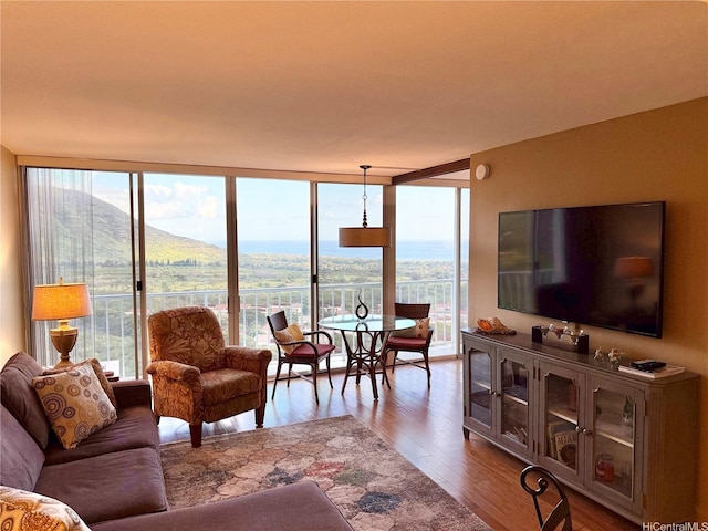 living room featuring expansive windows and wood finished floors
