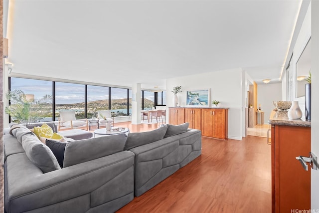 250 Kawaihae St Unit 18D, Honolulu, HI 96825 - living room featuring light wood-style flooring, baseboards, and a wall of windows