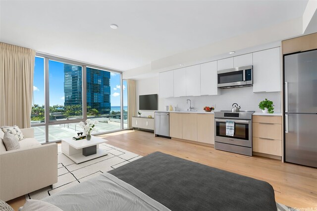 1001 Queen St Unit 1010, Honolulu, HI 96814 - living room featuring light wood-style flooring and expansive windows