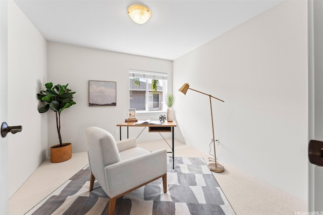 home office featuring carpet floors