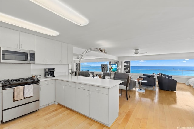 2895 Kalakaua Ave Unit 1202, Honolulu, HI 96815 - kitchen featuring stainless steel appliances, a peninsula, light wood finished floors, and light countertops