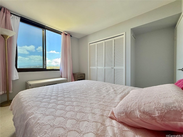 990 Ala Nanala St Unit 19A, Honolulu, HI 96818 - bedroom with a closet and carpet