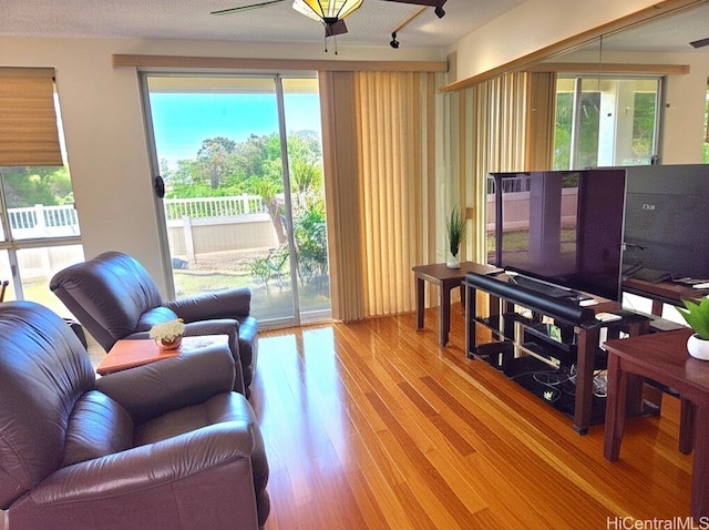 91-1012 Laaulu St Unit 28A, Ewa Beach, HI 96706 - living room featuring light wood-style floors, a ceiling fan, and plenty of natural light
