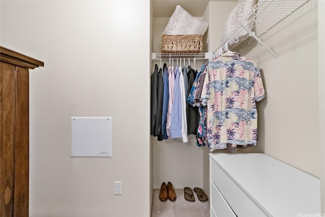 view of walk in closet