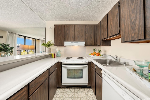kitchen with a sink, white appliances, a textured ceiling, under cabinet range hood, and light countertops