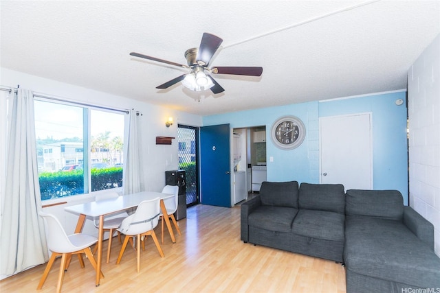 living room featuring ceiling fan and light wood-type flooring