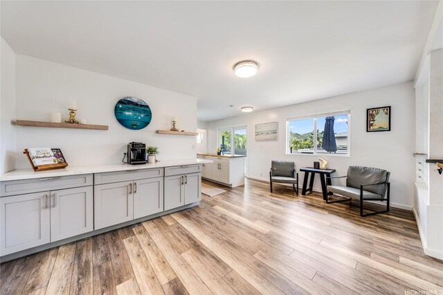625 Maluniu Ave, Kailua, HI 96734 - kitchen featuring open shelves, light wood finished floors, light countertops, and gray cabinetry
