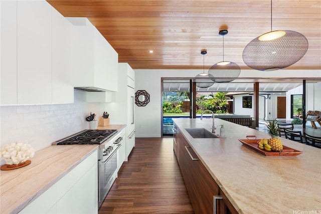 21 Kalaka Pl, Kailua, HI 96734 - kitchen with stainless steel stove, wood ceiling, modern cabinets, dark wood-style floors, and white cabinetry