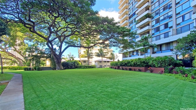 view of community featuring a lawn