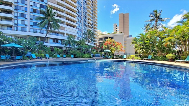 view of community pool