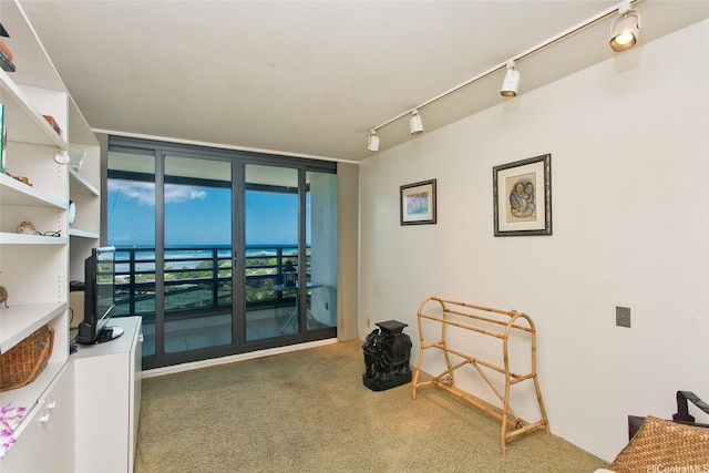 carpeted spare room with floor to ceiling windows and rail lighting