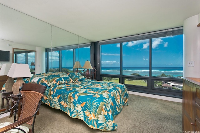 bedroom with carpet and a water view