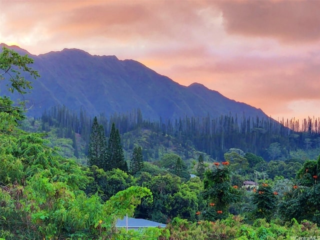 47-285 Waihee Rd Unit D, Kaneohe, HI 96744 - view of mountain background with a forest