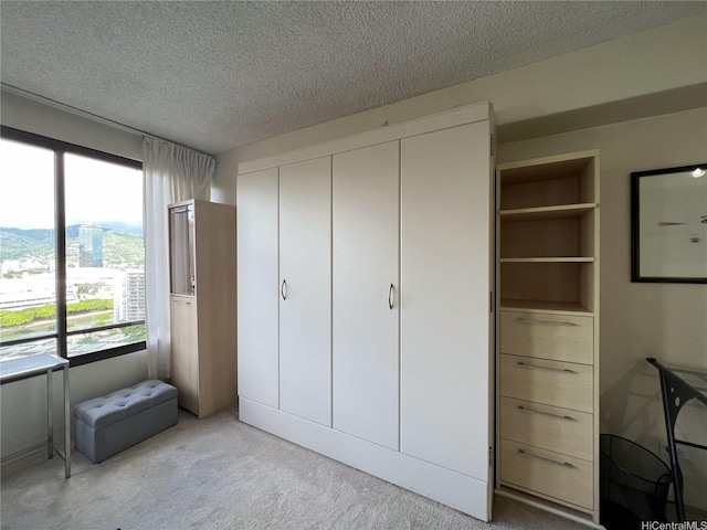 bedroom featuring a textured ceiling, multiple windows, light carpet, and a closet