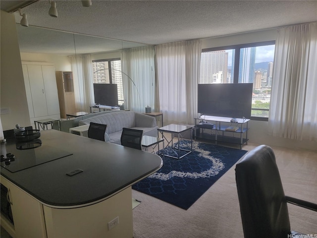 living area featuring carpet flooring and a textured ceiling