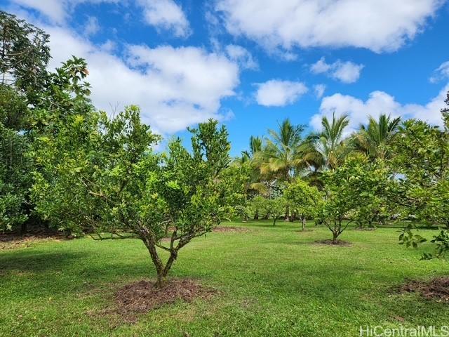 16-1774 40th Ave, Keaau, HI 96749 - photo 12