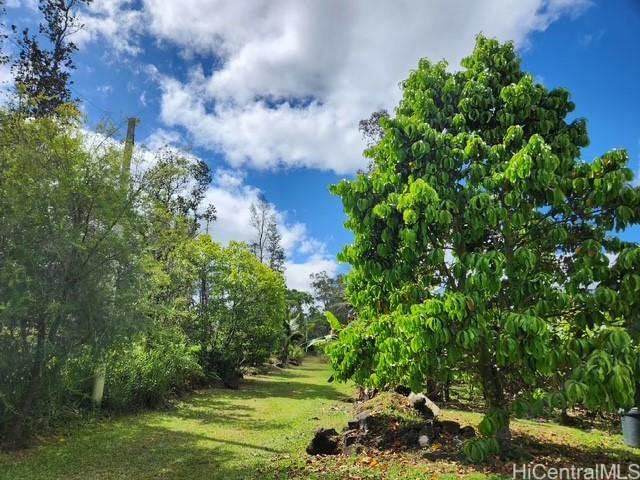 16-1774 40th Ave, Keaau, HI 96749 - photo 13