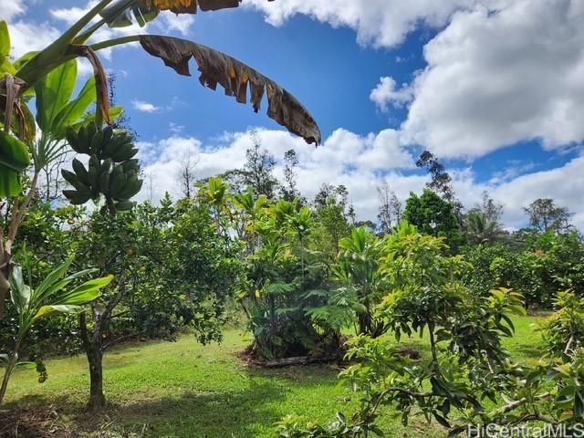 16-1774 40th Ave, Keaau, HI 96749 - photo 14