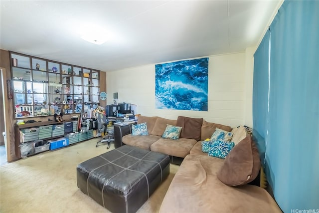 1671 Citron St, Honolulu, HI 96826 - living area featuring carpet flooring