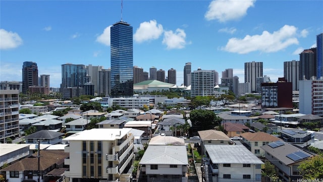 1671 Citron St, Honolulu, HI 96826 - view of city