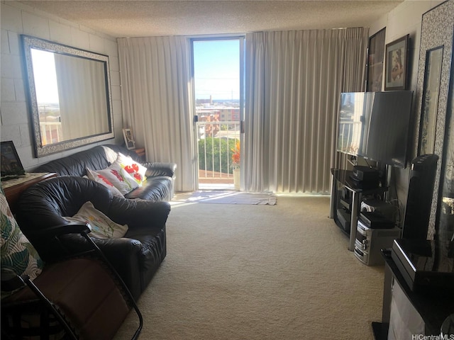 647 Kunawai Ln Unit A507, Honolulu, HI 96817 - carpeted living room featuring a textured ceiling