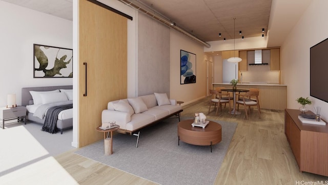 living area featuring light wood-style floors