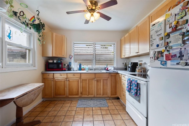 2317 Akiki Pl, Pearl City, HI 96782 - photo 22