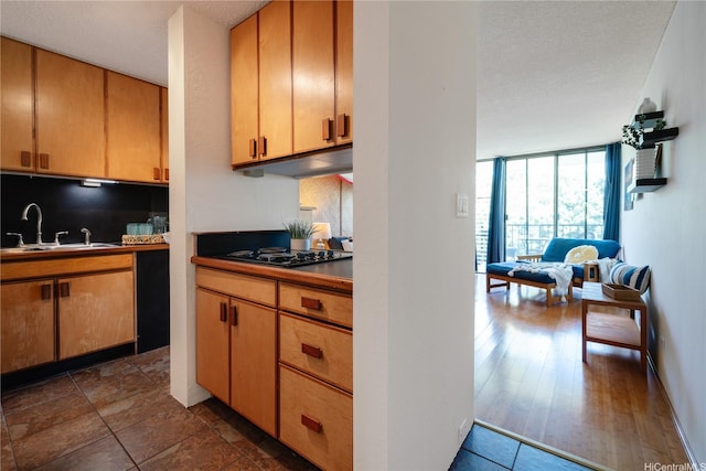 kitchen with a sink, expansive windows, open floor plan, and black electric stovetop
