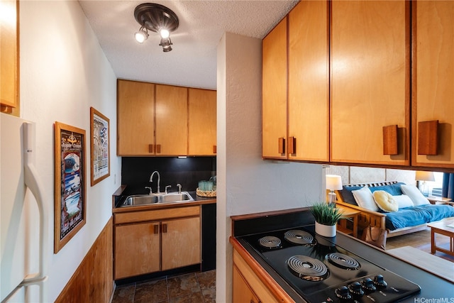 kitchen featuring a sink, stone finish floor, stove, black electric cooktop, and fridge