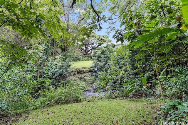 3234 Pelekane Dr, Honolulu, HI 96817 - view of yard