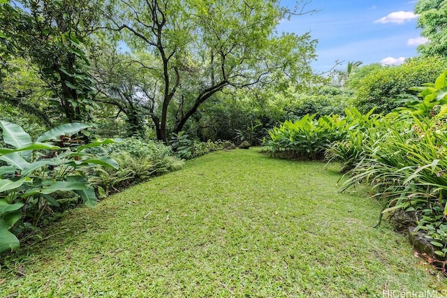 3234 Pelekane Dr, Honolulu, HI 96817