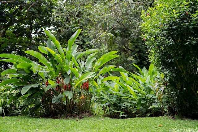 3234 Pelekane Dr, Honolulu, HI 96817