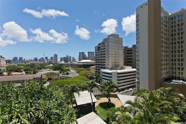1200 Queen Emma St Unit 1104, Honolulu, HI 96813 - skyline view