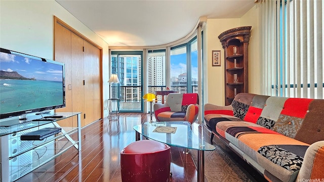 living area featuring wood finished floors and a view of city