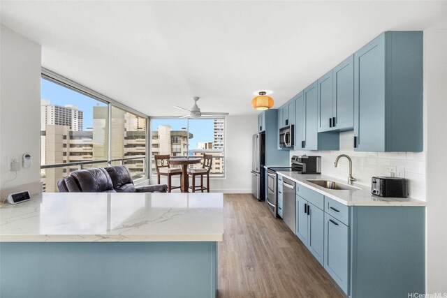 kitchen featuring appliances with stainless steel finishes, a sink, wood finished floors, and healthy amount of natural light