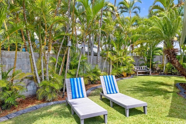 49 Pilipu Pl, Kailua, HI 96734 - view of yard