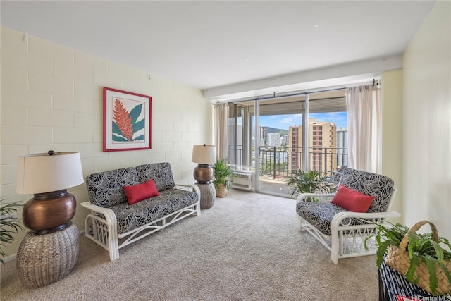 view of carpeted living room