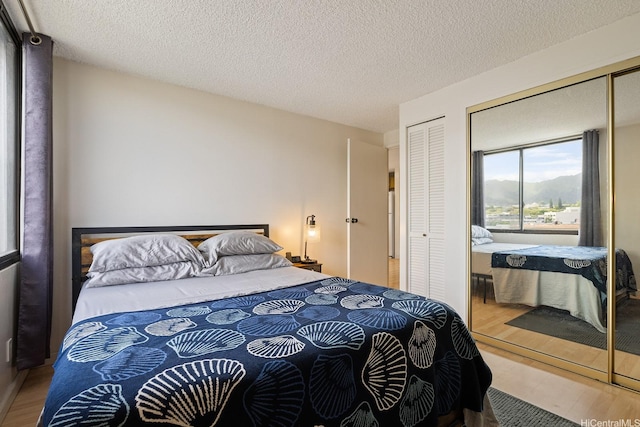 bedroom with wood finished floors, multiple closets, a textured ceiling, and a mountain view