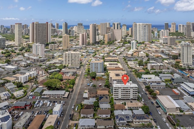 aerial view of a skyline view